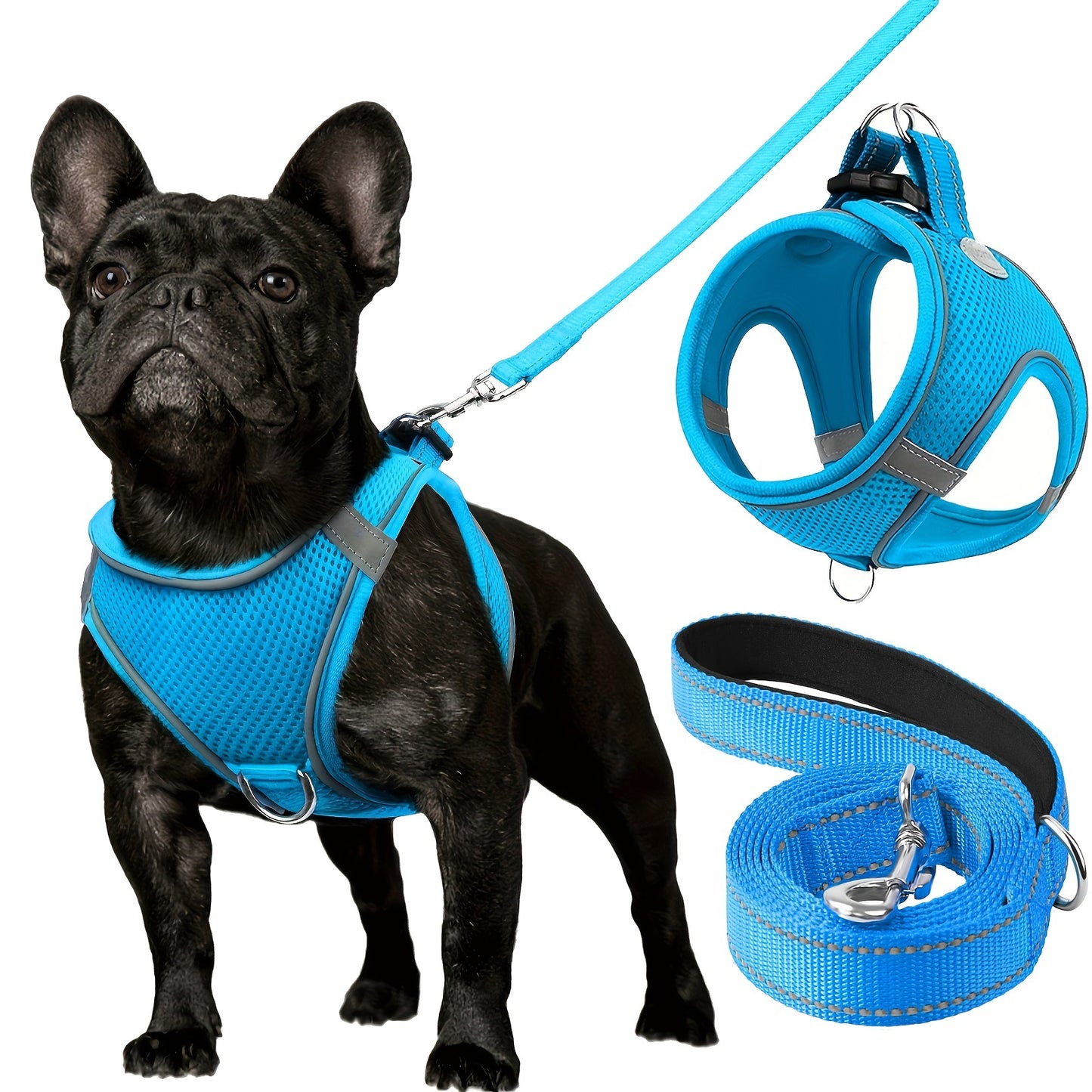 ReflektierendesMesh- Hundegeschirr und Leinen-Set - atmungsaktives Mesh-Weste mit Gepolstertem Nylon-Leine - für kleine bis mittlere Rassen - Himmelblau