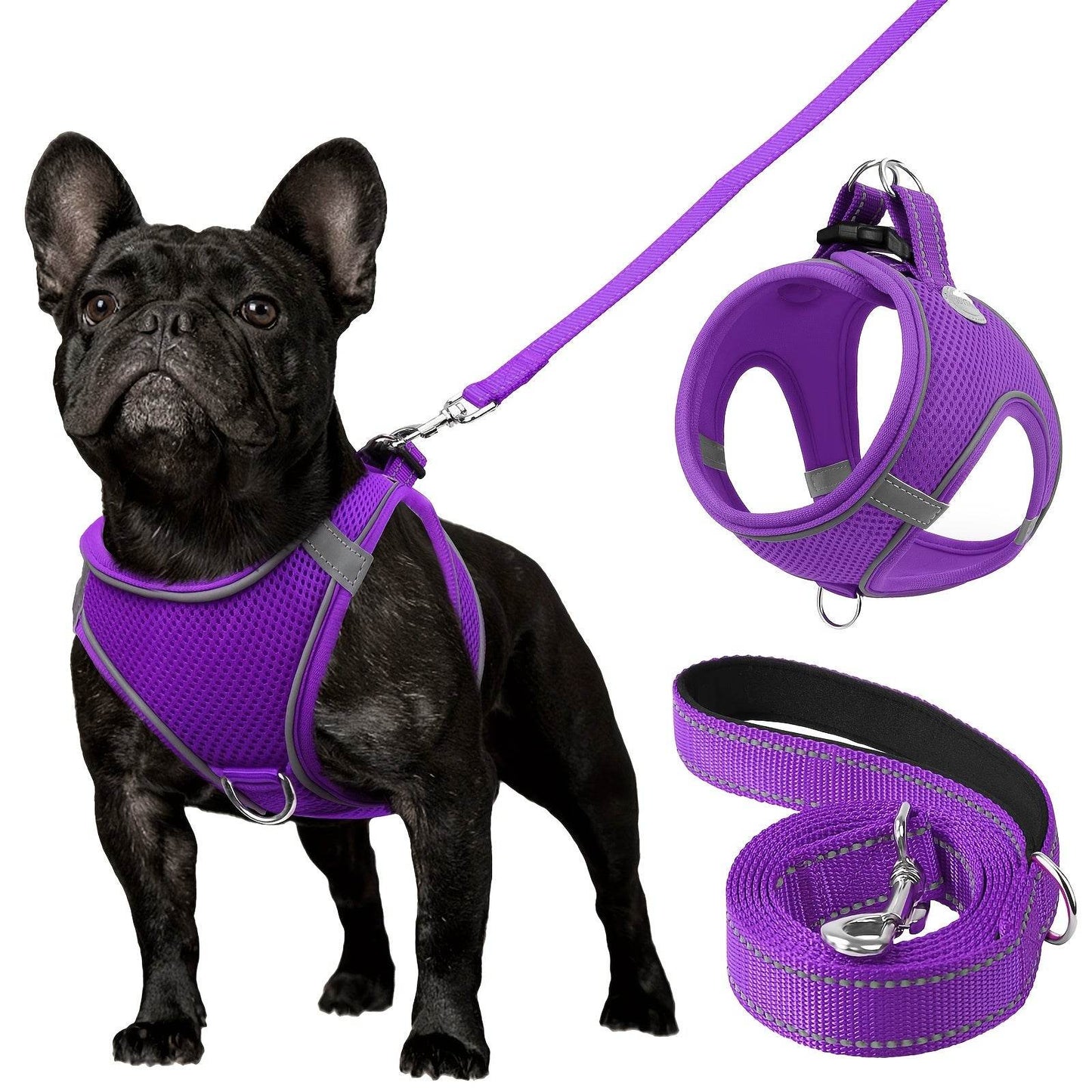 happy-prints.eu - ReflektierendesMesh- Hundegeschirr und Leinen-Set - atmungsaktives Mesh-Weste mit Gepolstertem Nylon-Leine - für kleine bis mittlere Rassen