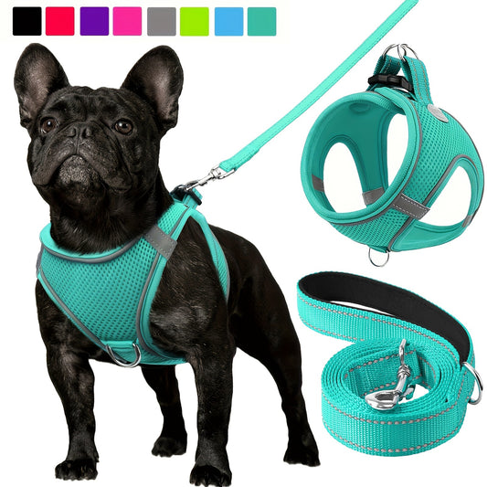 ReflektierendesMesh- Hundegeschirr und Leinen-Set - atmungsaktives Mesh-Weste mit Gepolstertem Nylon-Leine - für kleine bis mittlere Rassen -