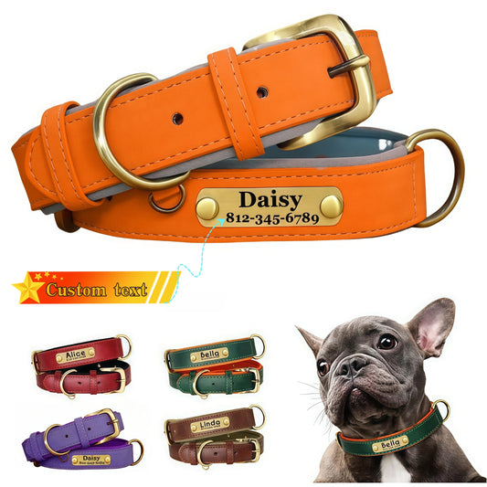 Personalisierbares Hundehalsband aus Leder: stilvolles und praktisches Halsband für Hunde -