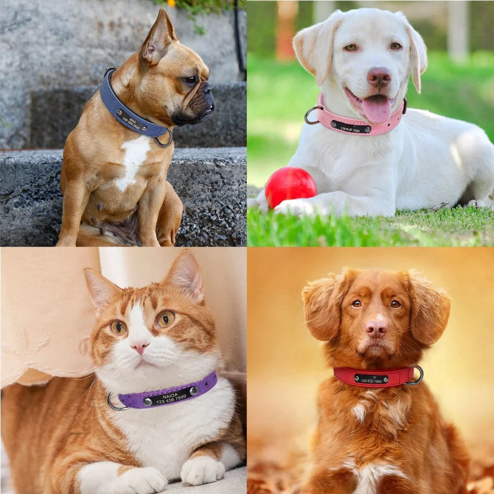 Personalisierbares Hundehalsband aus Leder: stilvolles und praktisches Halsband für Hunde -